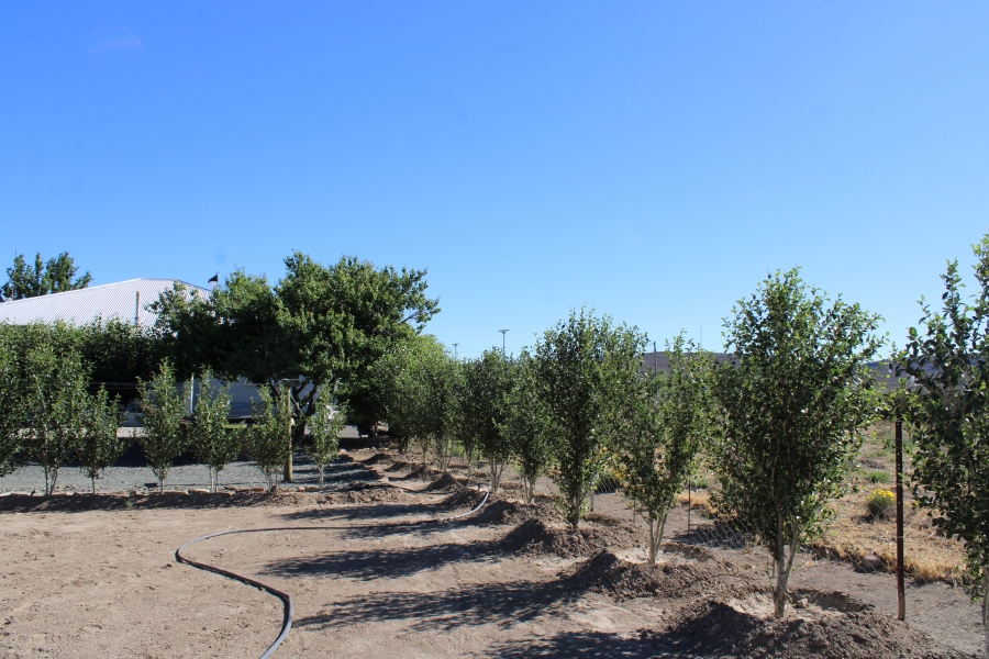 4 Bedroom Property for Sale in Sutherland Northern Cape